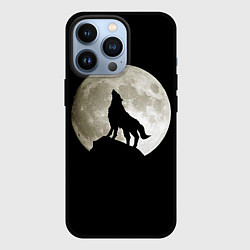 Чехол для iPhone 13 Pro Moon Wolf, цвет: 3D-черный