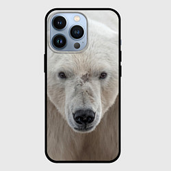 Чехол для iPhone 13 Pro Белый медведь, цвет: 3D-черный