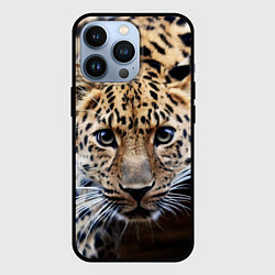 Чехол для iPhone 13 Pro Дикая кошка, цвет: 3D-черный