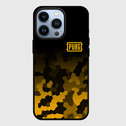 Чехол для iPhone 13 Pro PUBG: Military Honeycomb, цвет: 3D-черный