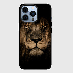 Чехол для iPhone 13 Pro Львиный взгляд, цвет: 3D-черный