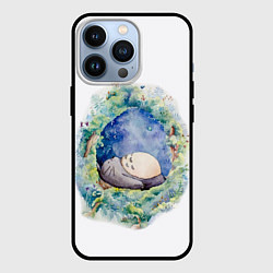 Чехол для iPhone 13 Pro Сказочный Тоторо, цвет: 3D-черный