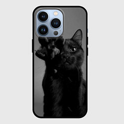 Чехол для iPhone 13 Pro Черный котик, цвет: 3D-черный