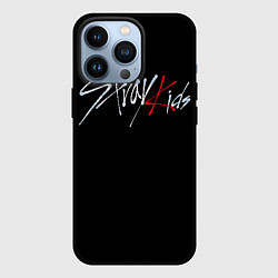 Чехол iPhone 13 Pro Stray Kids