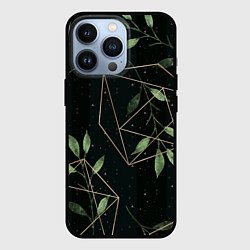 Чехол для iPhone 13 Pro Геометрия в природе, цвет: 3D-черный