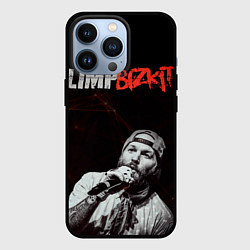 Чехол для iPhone 13 Pro Limp Bizkit, цвет: 3D-черный