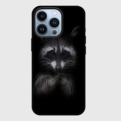 Чехол для iPhone 13 Pro Енот, цвет: 3D-черный