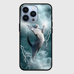 Чехол для iPhone 13 Pro Грозовой кошак, цвет: 3D-черный