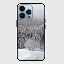 Чехол для iPhone 13 Pro Зимняя природа, цвет: 3D-черный
