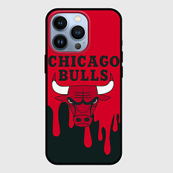 Чехол для iPhone 13 Pro Chicago Bulls, цвет: 3D-черный