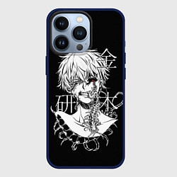 Чехол для iPhone 13 Pro Ken and scolopendra, цвет: 3D-тёмно-синий