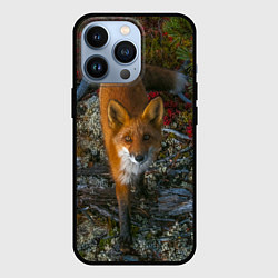 Чехол для iPhone 13 Pro Лиса, цвет: 3D-черный