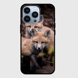 Чехол для iPhone 13 Pro Лисички фото, цвет: 3D-черный