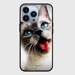 Чехол для iPhone 13 Pro Котик, цвет: 3D-черный