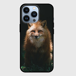 Чехол для iPhone 13 Pro Хитрый лис на черном фоне, цвет: 3D-черный