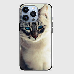 Чехол для iPhone 13 Pro Кот с Голубыми глазами, цвет: 3D-черный