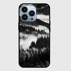 Чехол для iPhone 13 Pro ТУМАННЫЙ ЛЕС МРАЧНЫЙ ЛЕС, цвет: 3D-черный