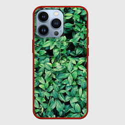 Чехол для iPhone 13 Pro Барвинок, цвет: 3D-красный