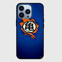 Чехол для iPhone 13 Pro Рваный логотип Гоку Dragon Ball, цвет: 3D-черный
