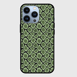 Чехол для iPhone 13 Pro Змеиная Шкура Snake, цвет: 3D-черный