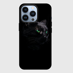 Чехол для iPhone 13 Pro Черна кошка с изумрудными глазами, цвет: 3D-черный