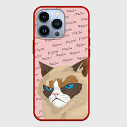 Чехол для iPhone 13 Pro Angry Cat Злой кот, цвет: 3D-красный