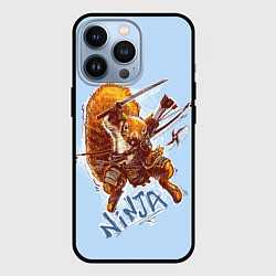 Чехол для iPhone 13 Pro Крейзи белка-ниндзя, цвет: 3D-черный