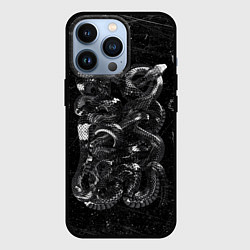 Чехол для iPhone 13 Pro Чб Блестящая Змея Snake Shine, цвет: 3D-черный
