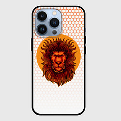 Чехол для iPhone 13 Pro Солнечный лев, цвет: 3D-черный
