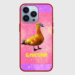 Чехол для iPhone 13 Pro Блистай как утка огарь, цвет: 3D-красный