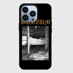 Чехол iPhone 13 Pro Burzum cockroaches