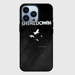 Чехол для iPhone 13 Pro The Sound of Madness Shinedown, цвет: 3D-черный