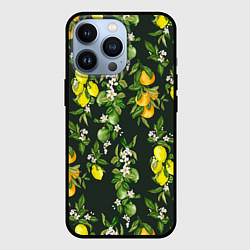 Чехол для iPhone 13 Pro Апельсины, Лаймы и Лимоны, цвет: 3D-черный