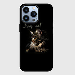 Чехол для iPhone 13 Pro Big cat Maine Coon, цвет: 3D-черный