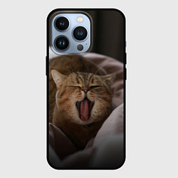 Чехол для iPhone 13 Pro Эх, поспать бы! Зевающий котяра, цвет: 3D-черный