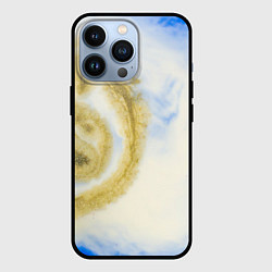 Чехол для iPhone 13 Pro Золотая Пыль На Молоке, цвет: 3D-черный