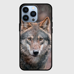 Чехол для iPhone 13 Pro Волк с грустными глазами, цвет: 3D-черный