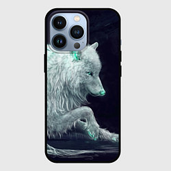 Чехол для iPhone 13 Pro Магическая волчица, цвет: 3D-черный