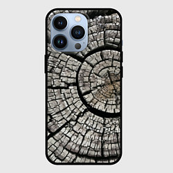 Чехол для iPhone 13 Pro Кольца сгоревшего ствола дерева, цвет: 3D-черный