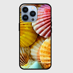 Чехол для iPhone 13 Pro Разноцветные створки океанских раковин, цвет: 3D-черный