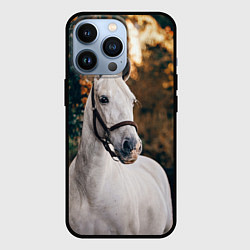 Чехол для iPhone 13 Pro Белая лошадка, цвет: 3D-черный