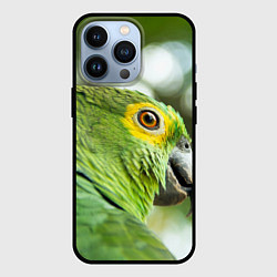 Чехол для iPhone 13 Pro Попугaй, цвет: 3D-черный