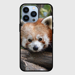 Чехол для iPhone 13 Pro Красная панда, цвет: 3D-черный