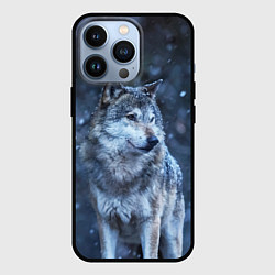 Чехол для iPhone 13 Pro Лесной волк, цвет: 3D-черный