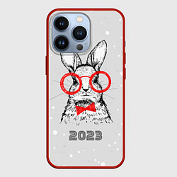 Чехол для iPhone 13 Pro Снегопад и кролик 2023, цвет: 3D-красный