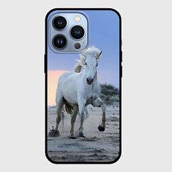 Чехол для iPhone 13 Pro Белый конь, цвет: 3D-черный