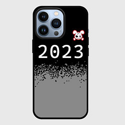 Чехол для iPhone 13 Pro НГ Кролик злой: символ сверху, цвет: 3D-черный