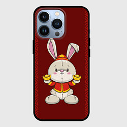 Чехол для iPhone 13 Pro Китайский кролик, цвет: 3D-черный