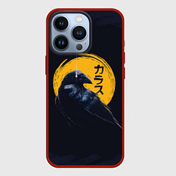 Чехол для iPhone 13 Pro Raven and moon, цвет: 3D-красный