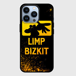 Чехол для iPhone 13 Pro Limp Bizkit - gold gradient, цвет: 3D-черный
